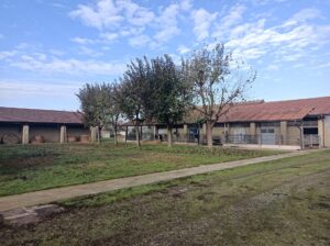 IMG_20241202_100838