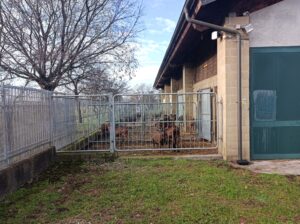 IMG_20241202_100911