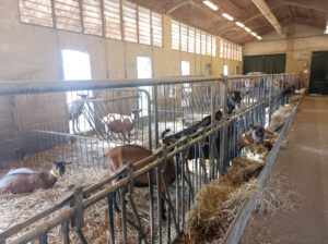 IMG_20241202_111827