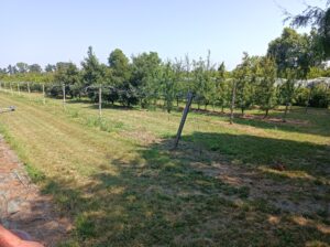 IMG_20250624_112435